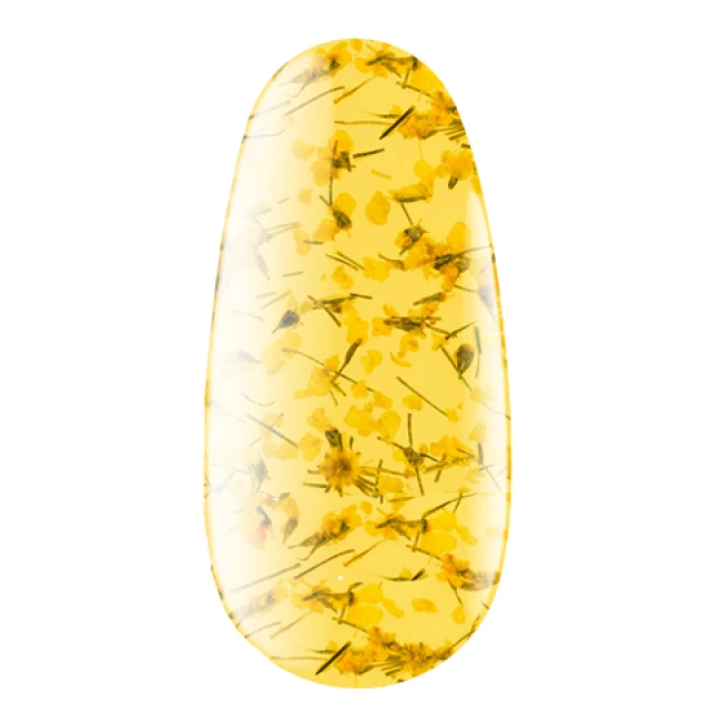 Flower Gel with dried flowers No.05, 4 ml - Kodi Professional