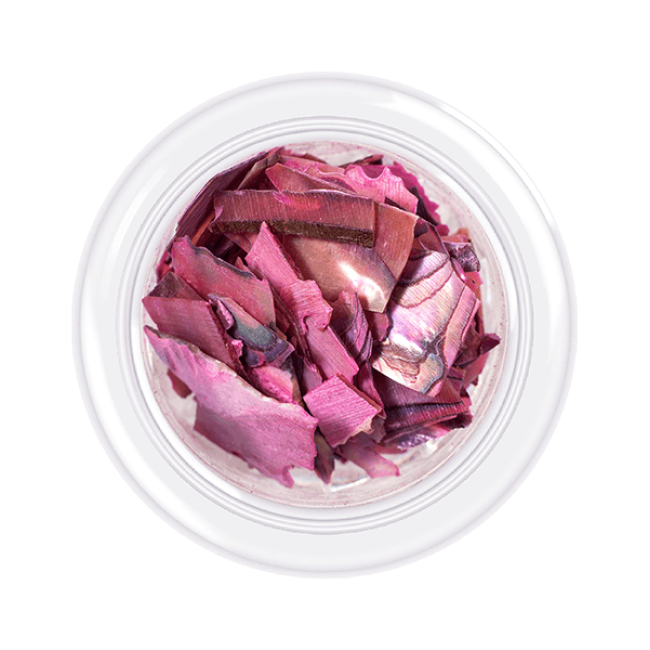 Shell for nails Shells style, shade No.03, 3 g - Kodi Professional