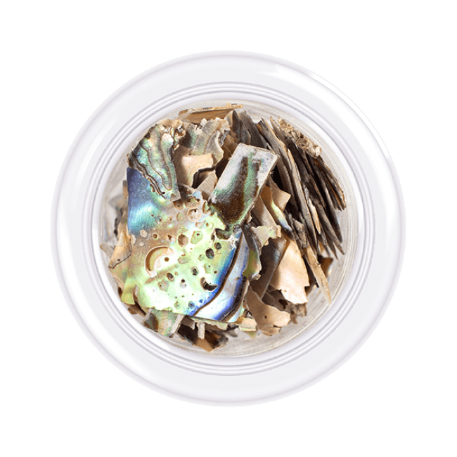 Shell for nails Shells style, shade No.07, 3 g - Kodi Professional