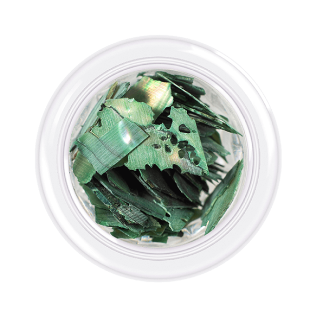 Shell for nails Shells style, shade No.08, 3 g - Kodi Professional