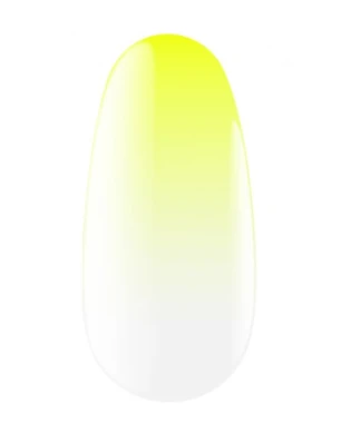 Экспресс-спрей для омбре Express Ombrе Spray, 13