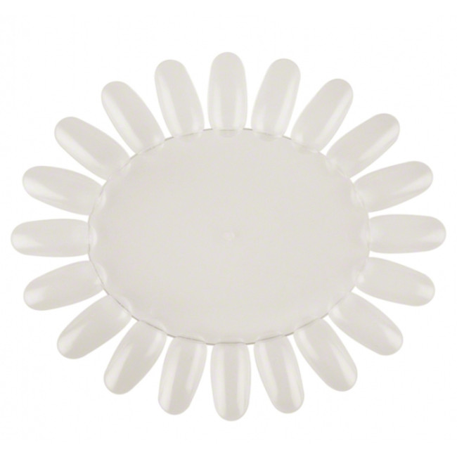 The palette for polishes "daisy", matt, 20 Tips - Kodi Professional