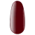 03 WN