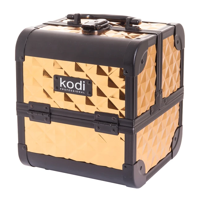 Cosmetic Case № 33 (Gold) - Kodi Professional