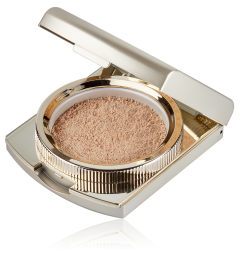 Powder, Color: Dark Beige, 24 g