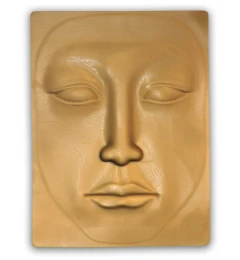 Dummy Face for Permanent Make-up Masters