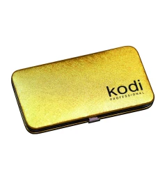 Футляр для пинцетов магнитный Kodi professional, цвет: золото