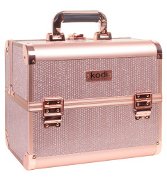 Case No. 37 (Brilliant)