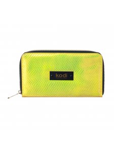 Case for brushes with zipper number 4, color: golden, KODI