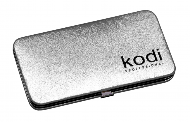 Case for Magnetic Tweezers Kodi Professional, Color: Silver